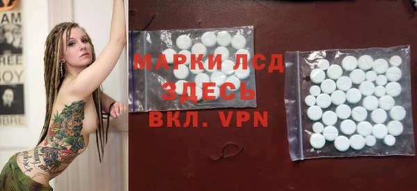 прущие грибы Вяземский