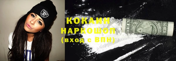 прущие грибы Вяземский