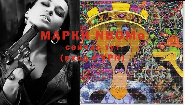 прущие грибы Вяземский