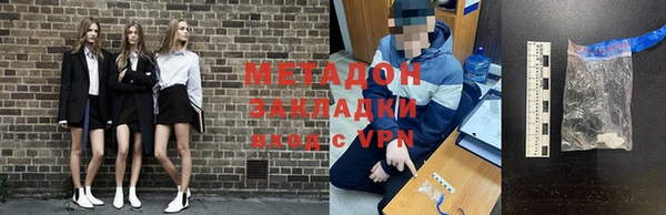 прущие грибы Вяземский