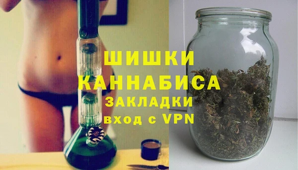 прущие грибы Вяземский