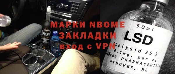 прущие грибы Вяземский
