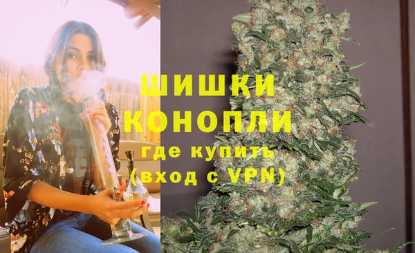 прущие грибы Вяземский
