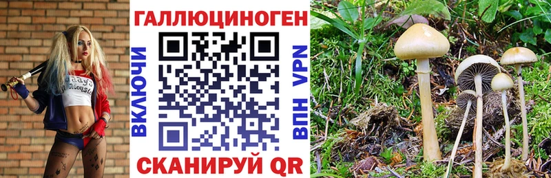 Псилоцибиновые грибы мицелий  Нязепетровск 